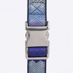 Blue and gray striped dog collar with a silver buckle on a white background