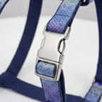 Close-up of a blue and purple dog harness with a metal buckle on a white background
