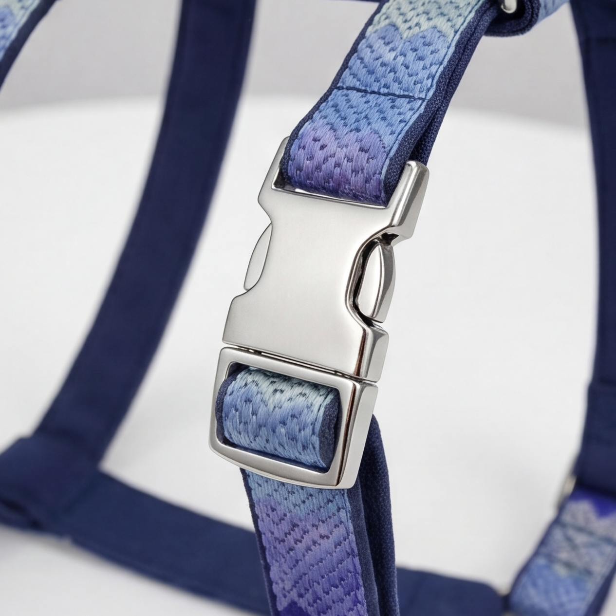 Close-up of a blue and purple dog harness with a metal buckle on a white background