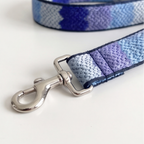 BlueFrost™ Adjustable Dog Leash