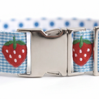 Dog collar with strawberry pattern and metal buckle on a white background