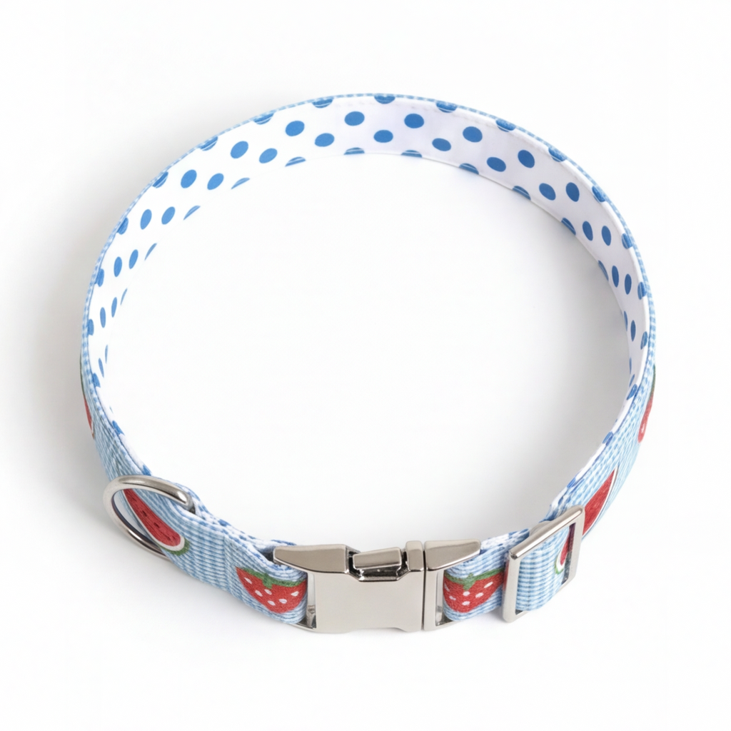 Dog collar with blue polka dot pattern and red and white accents on a white background