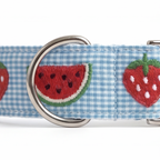 Dog collar with watermelon and strawberry pattern on a blue checkered background