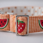 Summer Slice™ Martingale Collar