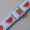 Summer Slice™ Martingale Collar