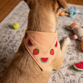 SummerSlice™ Bandana Neck Collar