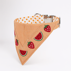 SummerSlice™ Bandana Neck Collar