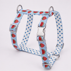 SummerSlice™ H-Type Dog Harness