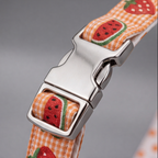 SummerSlice™ H-Type Dog Harness