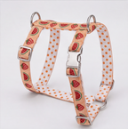 SummerSlice™ H-Type Dog Harness