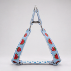 SummerSlice™ Step-In Harness