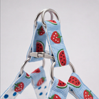 SummerSlice™ Step-In Harness