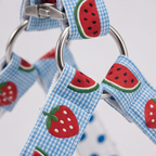 SummerSlice™ Step-In Harness