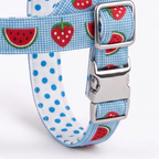 SummerSlice™ Norwegian Dog Harness