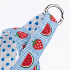 SummerSlice™ Norwegian Dog Harness