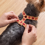 SummerSlice™ H-Type Dog Harness