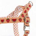 SummerSlice™ Norwegian Dog Harness