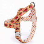 SummerSlice™ Norwegian Dog Harness