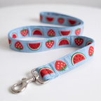 SummerSlice™ Adjustable Leash