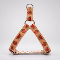SummerSlice™ Step-In Harness