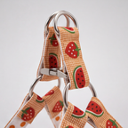 SummerSlice™ Step-In Harness