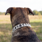 Tribal Rhythm™ Neck Collar