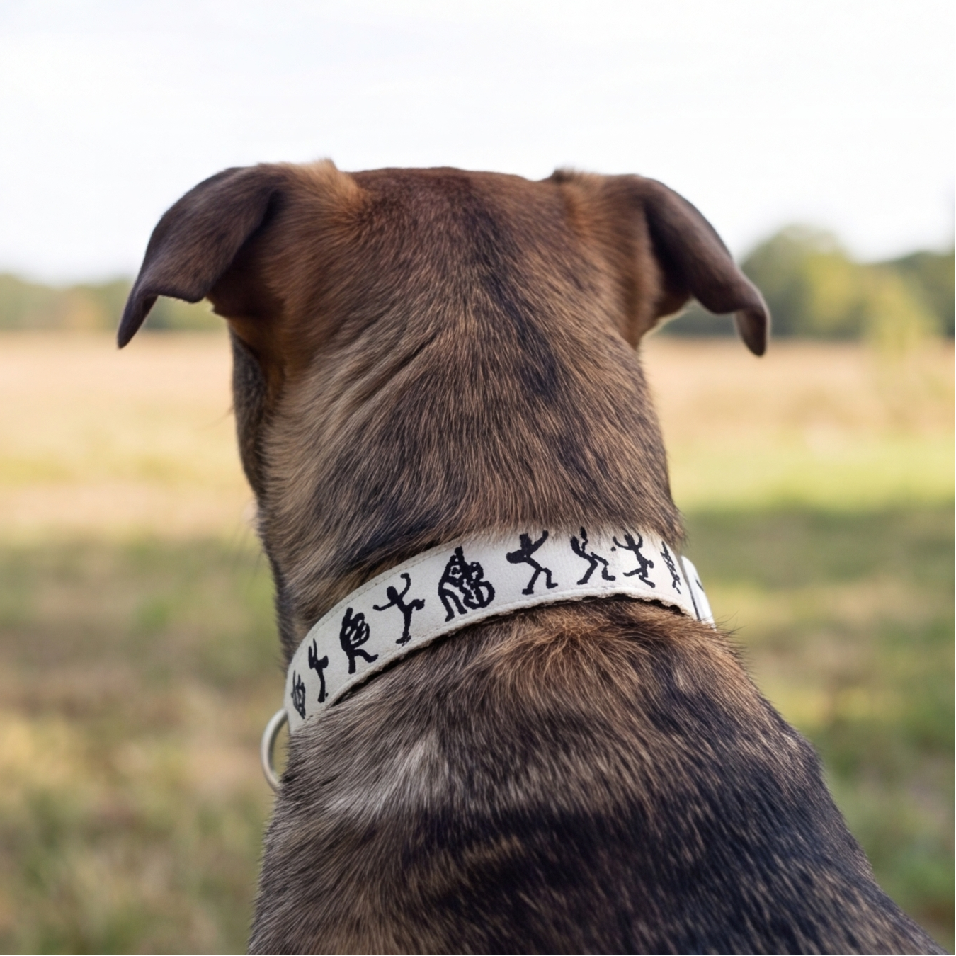 Tribal Rhythm™ Neck Collar