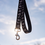 Tribal Rhythm™ Adjustable Dog Leash