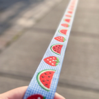 SummerSlice™ Adjustable Dog Leash