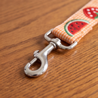 SummerSlice™ Adjustable Dog Leash
