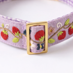 Berry Pop™ Martingale Collar