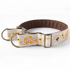 Honey Drip™ Martingale Collar