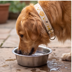 Honey Drip™ Martingale Collar