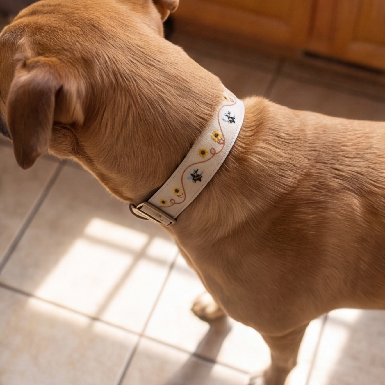 Honey Drip™ Neck Collar