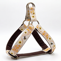 Honey Drip™ Step-In Harness