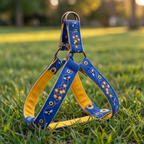 Honey Drip™ Step-In Harness