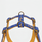 Honey Drip™ H-Type Dog Harness