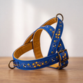 Honey Drip™ Norwegian Dog Harness