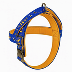 Honey Drip™ Norwegian Dog Harness