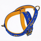 Honey Drip™ Norwegian Dog Harness