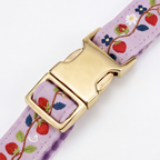 Berry Pop™ H-Type Dog Harness