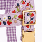Close-up of a lavender pet harness with embroidered strawberries, flowers, and leaves on a light purple gingham fabric, featuring gold-tone metal hardware.