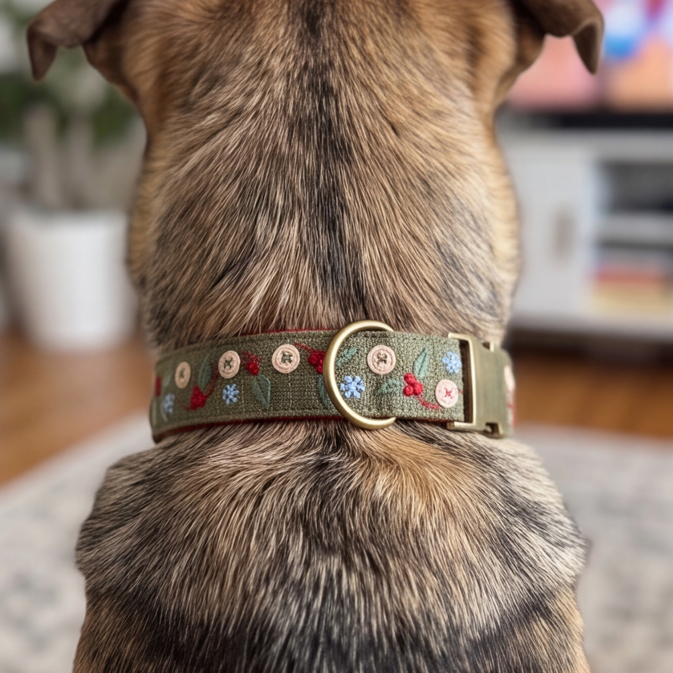 A close-up rear view of a dog wearing an olive green embroidered collar with colorful floral details and a brass buckle.