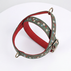 A green patterned dog harness with a red interior lining, brass hardware, and a buckle, displayed on a white surface.