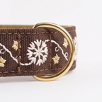 Starlit Noel™ Neck Collar
