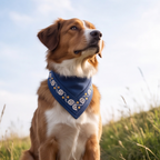 Starlit Noel™ Bandana Neck Collar