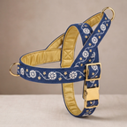 A navy blue dog harness with white floral embroidery and gold star accents, featuring a gold satin lining and gold metal hardware.