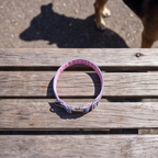 Love Loop™ Neck Collar