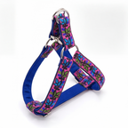 ColorPop™ Step-In Harness