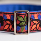 ColorPop™ Neck Collar